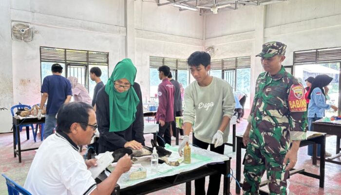 Vaksinasi dan Sterilisasi Anjing Liar Digelar di Langko