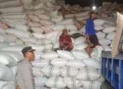 Sat Binmas Polres Bima Kota Himbau Pengatur Lalu Lintas di Depan Gudang Pelabuhan Bima Atur Keluar Masuk Truk agar Tak Ganggu Jalan Umum