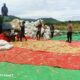 Bhabinkamtibmas Desa Hu’u Pantau Penggilingan Jagung Warga, Ingatkan Pentingnya Kualitas Panen