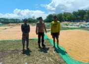 Bhabinkamtibmas Desa Marada Pantau Penjemuran Jagung Warga, Dukung Ketahanan Pangan Nasional