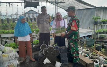 Perkuat Peran Perempuan, Kasi Sosial, Babinsa dan Bhabinkamtibmas Tinjau KWT Cendrawasih