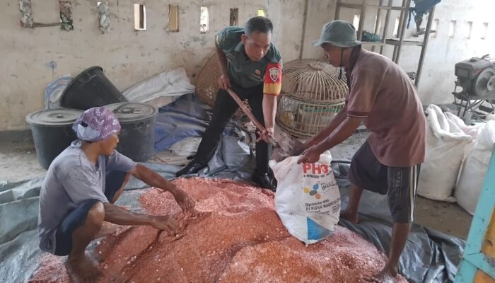 Babinsa Labuan Tereng Bantu Petani Campur Pupuk Padi