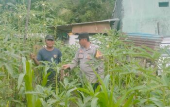 Bhabinkamtibmas Desa Mantun Aktif Monitoring Pengelolaan Pekarangan Pangan Bergizi