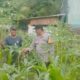 Bhabinkamtibmas Desa Mantun Aktif Monitoring Pengelolaan Pekarangan Pangan Bergizi