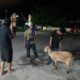 Team Opsnal Reskrim Polsek Rasanae Barat Amankan Dua Pelaku Pencurian Kambing saat Mobailing