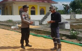 Bhabinkamtibmas Desa Daha Pantau Kegiatan Jemur Jagung Warga dalam Rangka Dukung Ketahanan Pangan Nasional