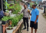 Dukung Ketahanan Pangan, Bhabinkamtibmas Seteluk Atas Dampingi Warga Kelola Pekarangan Bergizi