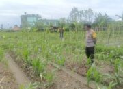 Silaturahmi Polisi dan Petani, Perkuat Pangan dan Keamanan Desa