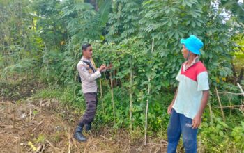 Bhabinkamtibmas Desa Rumak Aktif Edukasi Warga Soal Swasembada Pangan