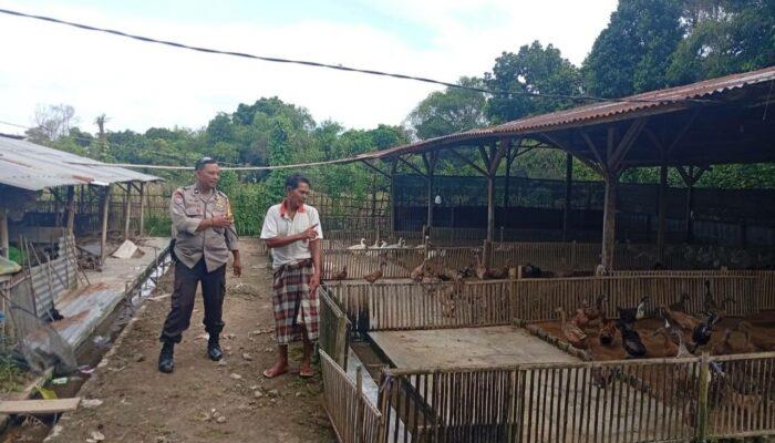 Bhabinkamtibmas Dorong Ketahanan Pangan di Dusun Merembu Tengah