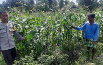 Bhabinkamtibmas Dorong Swasembada Pangan di Desa Montong Are