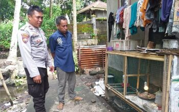 Pekarangan Jadi Lumbung: Inovasi Pangan di Desa Jagaraga