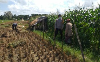 Bhabinkamtibmas Sosialisasi Pemanfaatan Lahan Kosong untuk Pangan