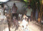 Bhabinkamtibmas Senggigi Gencarkan Edukasi Ketahanan Pangan di Dusun Krandangan