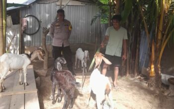 Bhabinkamtibmas Dukung Ketahanan Pangan Warga Senggigi