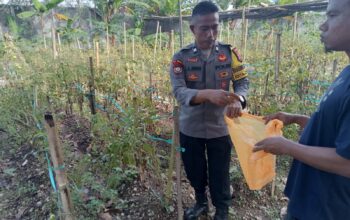 Polres Lombok Tengah Gencarkan Program Pekarangan Bergizi Dukung Ketahanan Pangan Nasional dan Asta Cita Presiden.