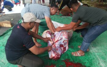 Kodim 1606/Mataram Tebar Berkah Idul Adha, Wujudkan Semangat TNI untuk Rakyat