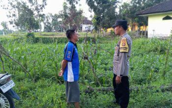 Ketahanan Pangan Desa Kuripan Didukung Langsung Aparat Kepolisian