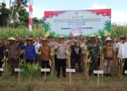 Dukungan Penuh Polri dan Pemda dalam Panen Raya Jagung NTB