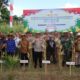 Panen Raya Jagung Serentak Dukung Swasembada Pangan di Lombok Barat