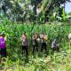 Panen Raya Jagung di Lombok Barat, Wujud Sinergi TNI-Polri dan Petani