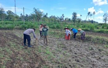 Peran Polri Dalam Swasembada Pangan di Sekotong, NTB