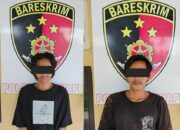 Polsek Labuapi Tangkap Pelaku Pencurian di Dusun Jogot Timur