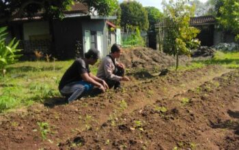 Polri Dukung Ketahanan Pangan Desa Senteluk, Lombok Barat