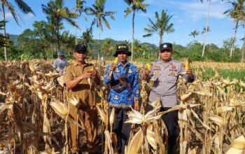 Polsek Gerung Aktif Dukung Rantai Pasok Pertanian