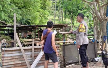 Ketahanan Pangan di Senggigi: Polisi Turun Tangan Bantu Petani