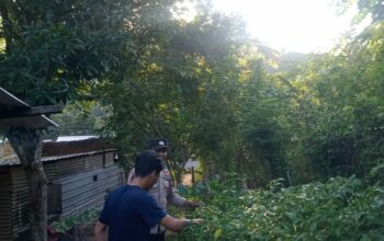 Bhabinkamtibmas Desa Senayan Galakkan Pemanfaatan Pekarangan untuk Tanaman Pangan Bergizi
