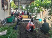 Babinsa Punia dan Lurah Sinergi Tanam Cabai, Wujudkan Lingkungan Hijau dan Mandiri Pangan