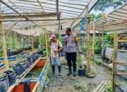 Bhabinkamtibmas Desa Bajur Dorong Kemandirian Pangan Warga Tempit