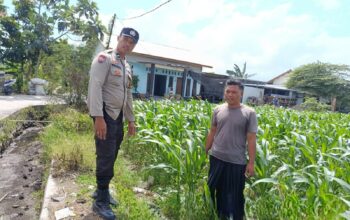 Bhabinkamtibmas Labuapi Dorong Pemanfaatan Lahan Kosong untuk Ketahanan Pangan
