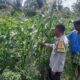 Bhabinkamtibmas Kediri Dukung Ketahanan Pangan Lewat Pendataan Petani Jagung