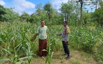 Bhabinkamtibmas Pelangan Dorong Ketahanan Pangan dari Pekarangan Warga Sekotong