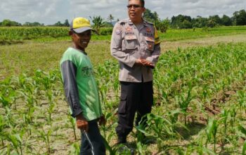 Bhabinkamtibmas Telagawaru Dorong Ketahanan Pangan Warga Paok Kambut