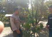 Ketahanan Pangan Desa Merembu Didorong Lewat Jalan Usaha Tani Baru
