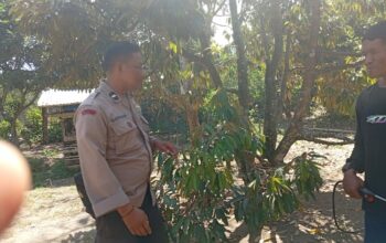 Gotong Royong Warga Dusun Begende Dukung Ketahanan Pangan Nasional