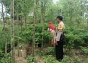 Ketahanan Pangan Dimulai dari Desa, Bhabinkamtibmas Dampingi Petani Cabai di Kediri Lombok Barat