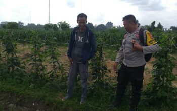 Ketahanan Pangan Dimulai dari Desa, Inisiatif Bhabinkamtibmas di Dusun Beremi Kuripan