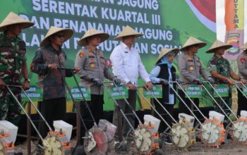 Ketahanan Pangan NTB, Polda dan Pemda Tanam Jagung Serentak di Lombok Barat