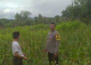 Ketahanan Pangan dan Keamanan Diperkuat di Sekotong Tengah Lewat DDS Bhabinkamtibmas