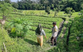 Bhabinkamtibmas Dorong Ketahanan Pangan di Dusun Nyiur Gasing, Lombok Barat