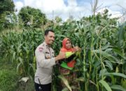 Pekarangan Produktif, Desa Aman: Inisiatif Ketahanan Pangan Bhabinkamtibmas Labuapi
