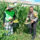 Polsek Labuapi Edukasi Warga Desa Jerneng untuk Tanam Sayur