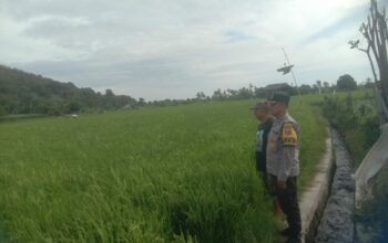 Bhabinkamtibmas Desa Rhee Dukung Ketahanan Pangan dengan Memotivasi Warga Manfaatkan Pekarangan