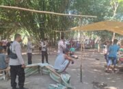 Polsek Plampang Bubarkan Tempat Perjudian Sabung Ayam di Maronge, Polisi Berikan Himbauan