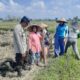 Bhabinkamtibmas Montong Are Dorong Ketahanan Pangan Lewat Pendampingan Petani