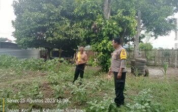 Panit Binmas Polsek Alas Gencarkan Program Ketahanan Pangan di Desa Dalam